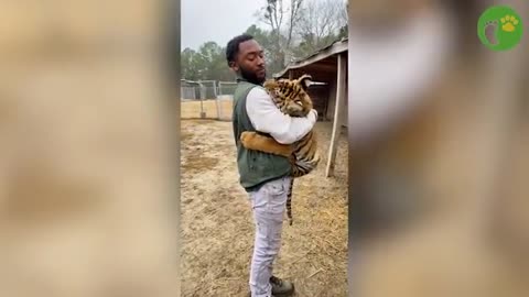 20 Times When Animals Reunited With Owners After Years Make You Cry in a Special Way