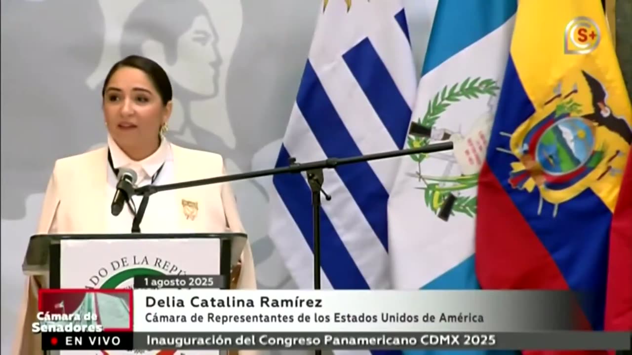 Democrat Rep. Delia Ramirez, "I'm a proud Guatemalan before I'm an American."