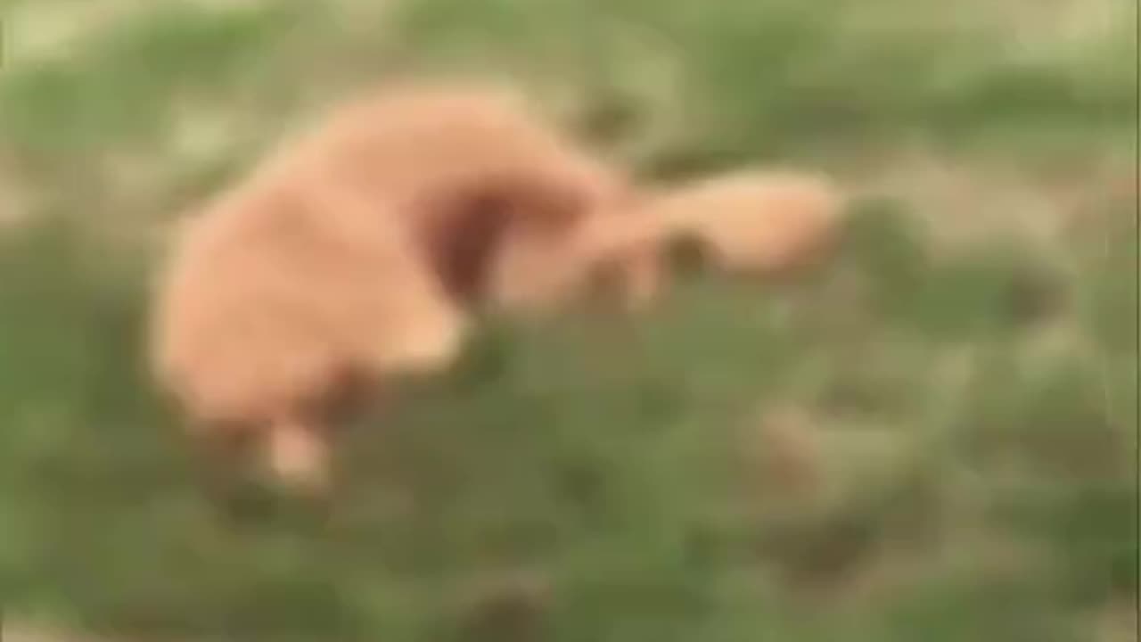 Busted!!🤣🤣🥰