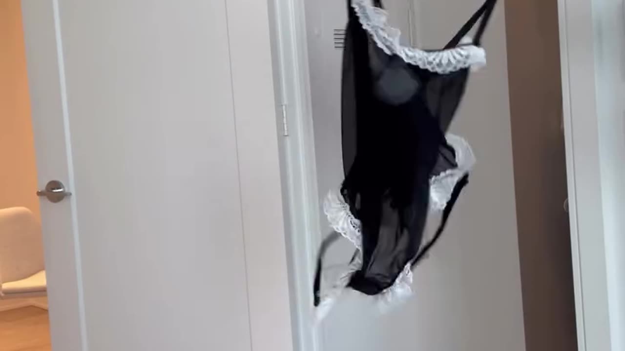 💯🔥 Pretty Bunny 🐇