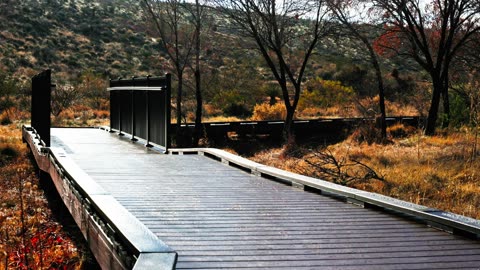 Prairie Boardwalk with Free video download