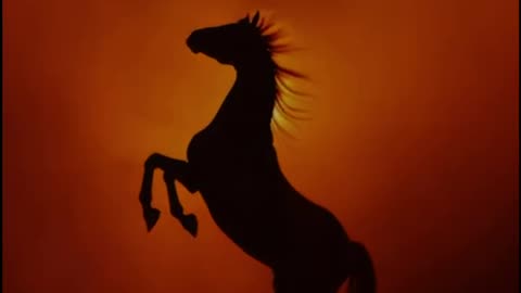 the Year of the Fire Horse is galloping in on February 17th Chinese Lunar New Year
