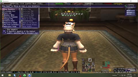 Playing Final Fantasy XI Online
