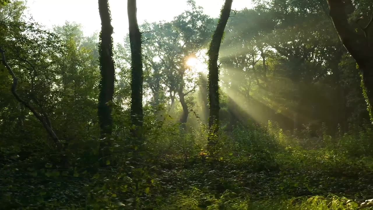 Only Dreams and a Few Coins: A Journey Through the Unknown"