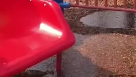 🤣 TRY NOT TO LAUGH CHALLENGE - Summer fun gone wrong