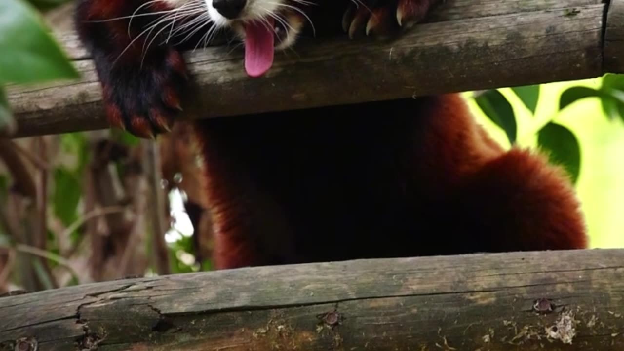 Open Yourself to the Unknown