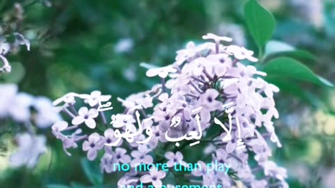 🔥Surah Al An‘am 6:32🌌سورة الأنعام🛐 #quran #shorts #viral #youtubeshorts #love #trending #shortvideo