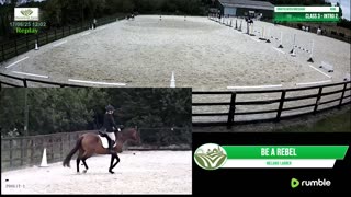 Mousehold Farm All Weather Riding arena