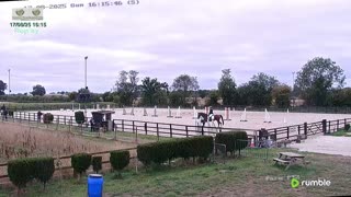Mousehold Farm All Weather Riding arena