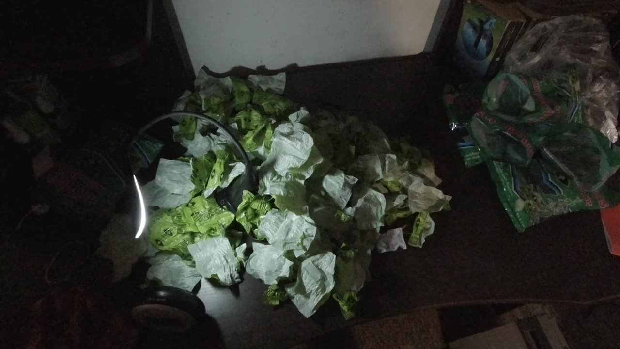 Má závislost / My addiction