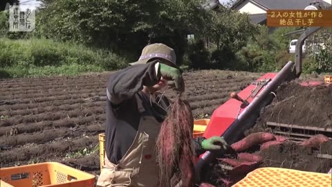 おとな時間研究所 魅惑のさつまいも