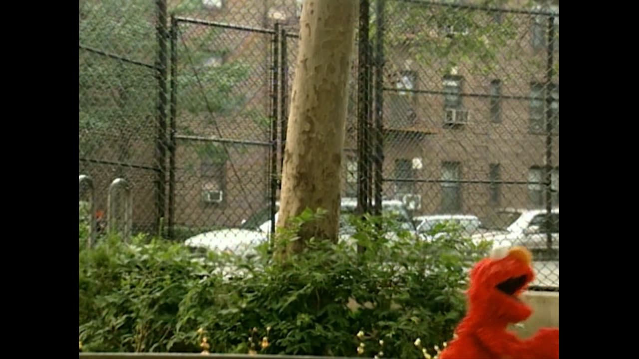 Whats The Name Of That Song