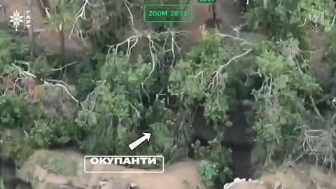 🦅🔥 Ukraine Russia War | Ukrainian Falcon Unit Hits Russian Forces with Drones and Artillery | RCF