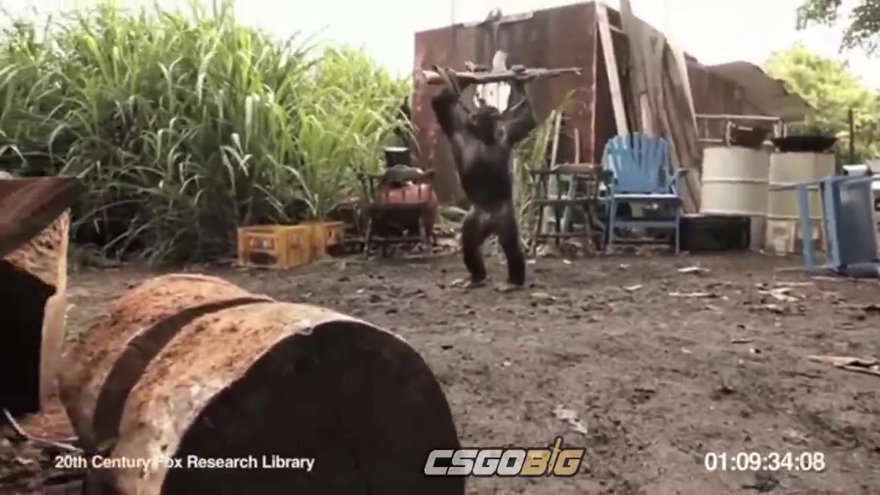 THE TERRORISTS AND THE MONKEY