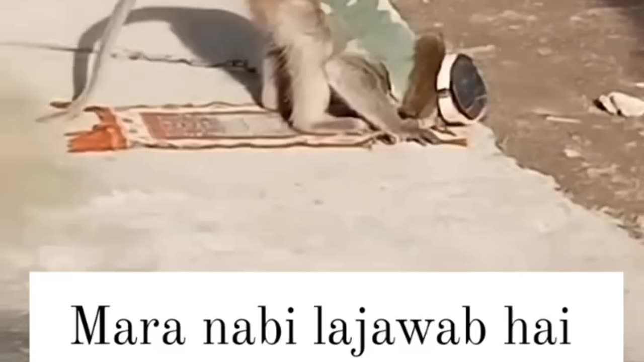 Prostration