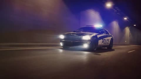 Mysterious Creatures Spotted at Miami Mall