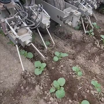 Reinvent Yourself | बदल डालो अपने आप को