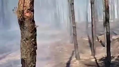 Russian Soldier Walks Through the Burned Wasteland That Was a Firing Line