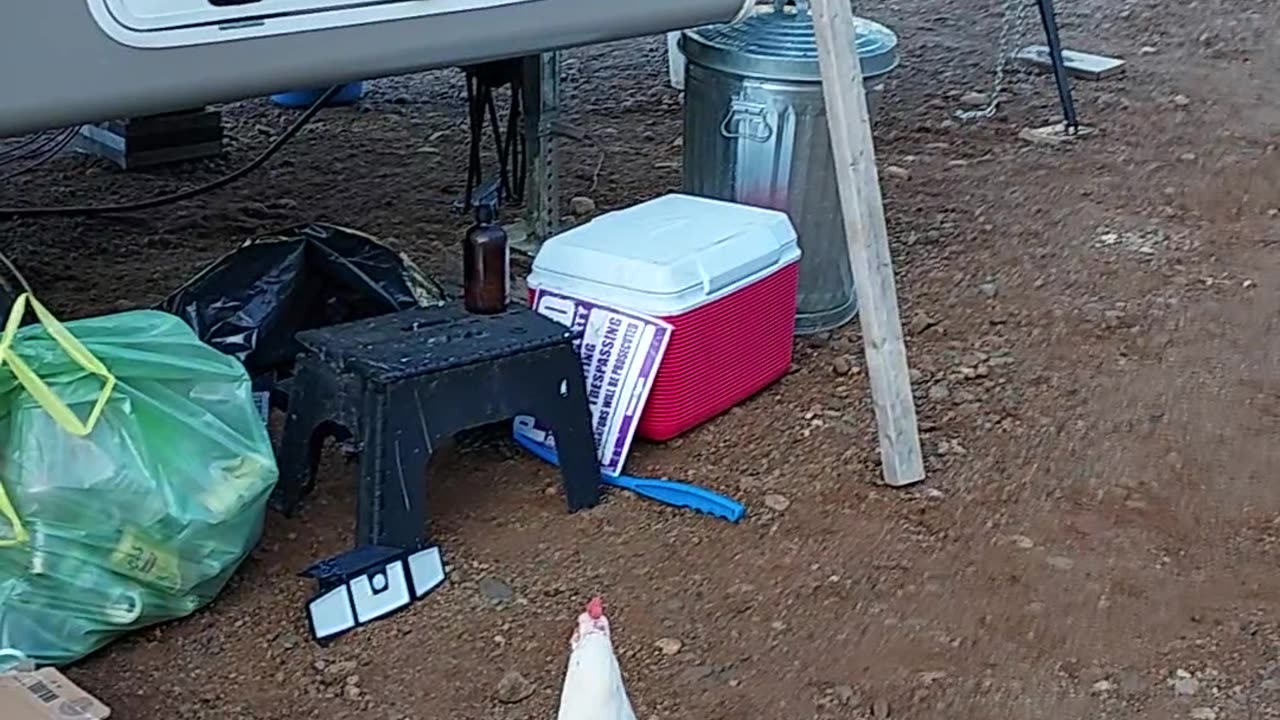 She didn't care for todays breakfast menu I guess.