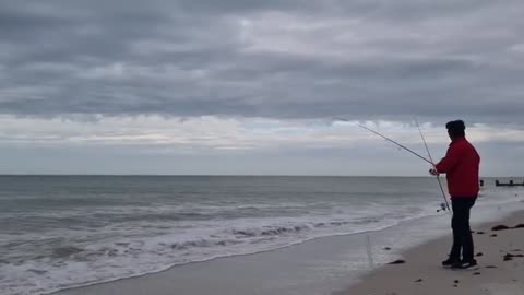 cosi' e', la pesca. oggi ho usato shriimp gamberi, blue crab granchio e pulce part1