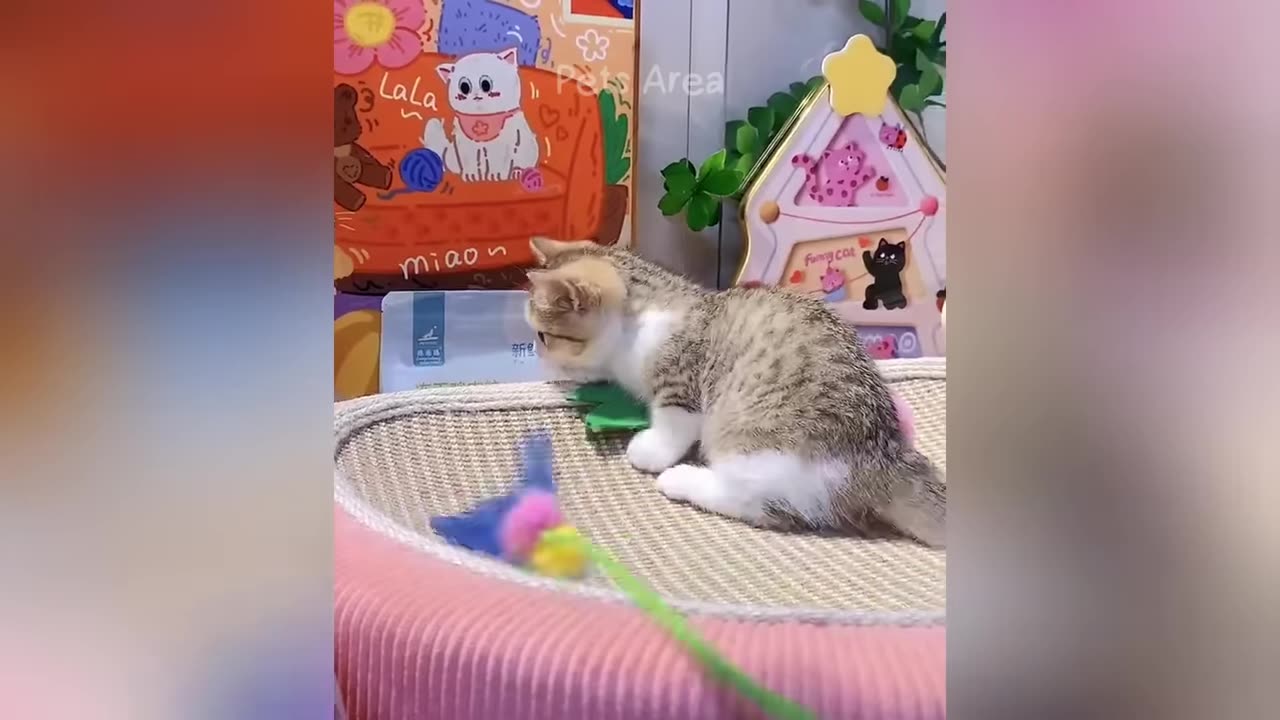 Funny animals will brighten your day instantly!