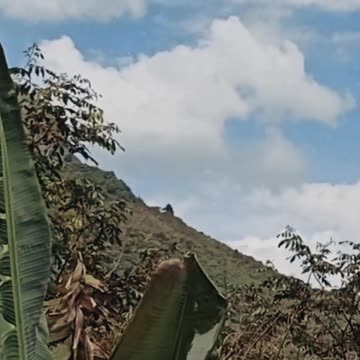 🇧🇴 TRABAJO EN COROICO 👉 La Yunga Boliviana ► Como es ❓❓ #5 #shorts