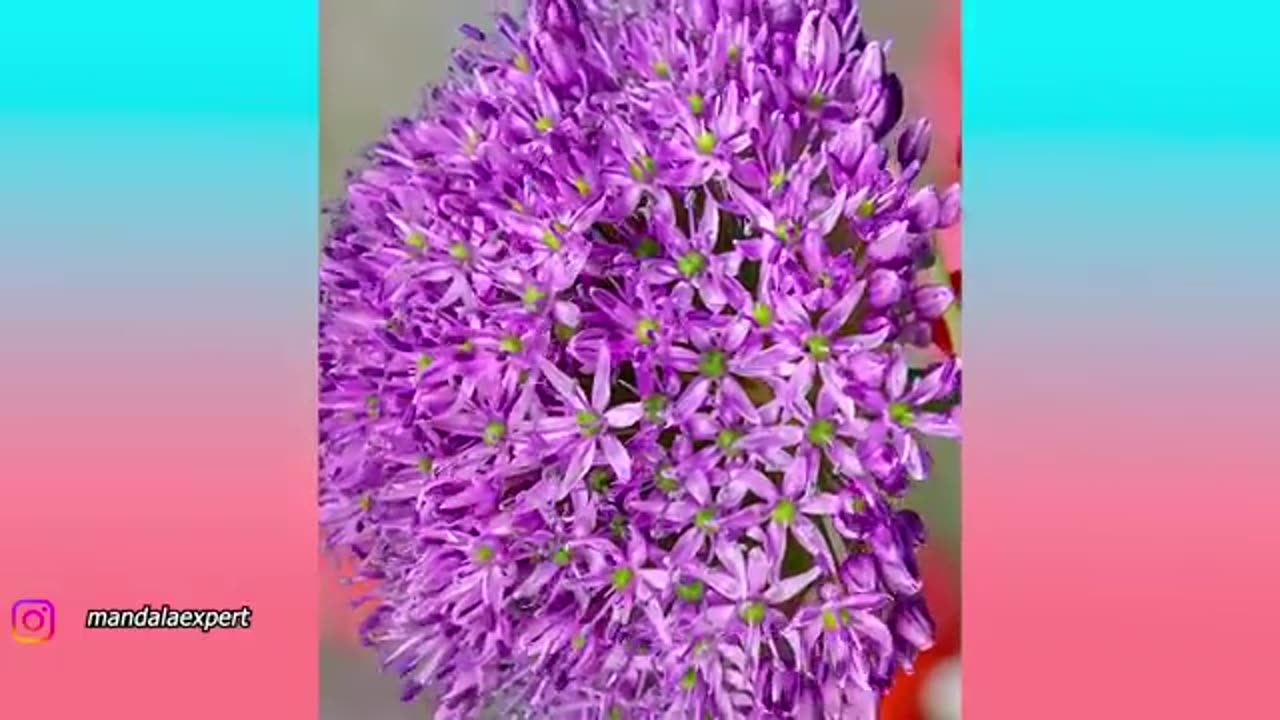 Try Not to Say WOW 😲 | Most Satisfying & Relaxing Video with LoFi Cozy Music