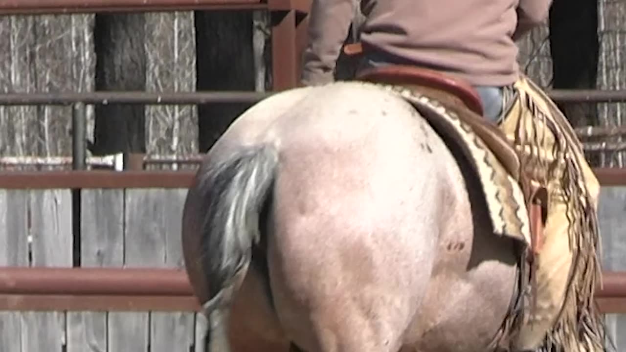 Loop reins sure are handy for this sort of thing.