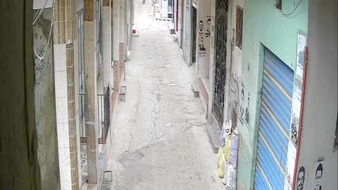 Camera1_elsayed_elsayed_20250209120000_20250209131139_5597326