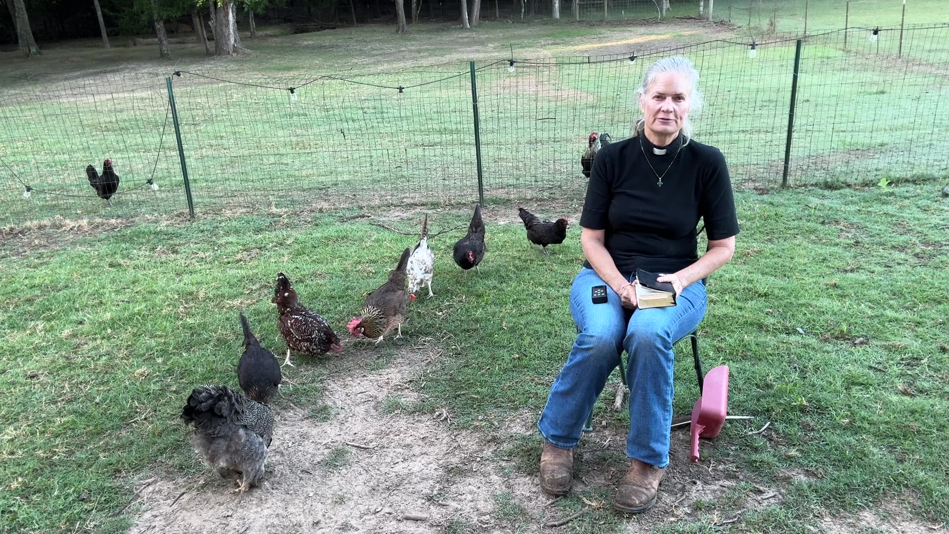 Morning Prayer, Daily Office