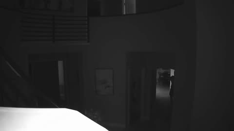 Man Shoots Bear Who Broke Into His Home