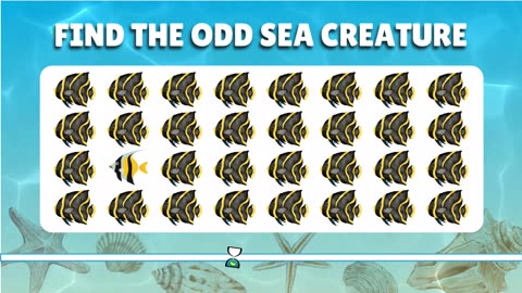 Find the ODD One Out - Sea Edition! | Easy, Medium, Hard