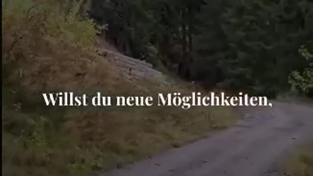 Вселенная любит вас!