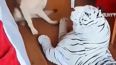 Hahahahahahaha..Animals are the BEST for comic material!!