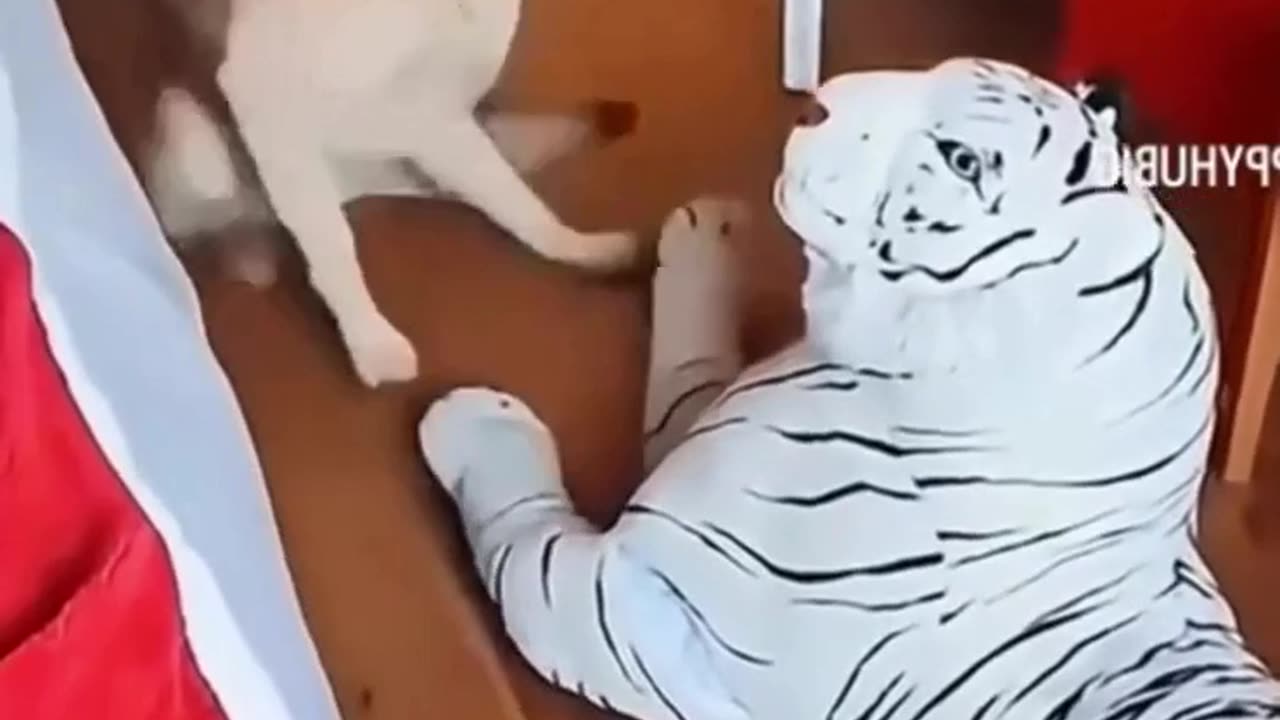 Hahahahahahaha..Animals are the BEST for comic material!!