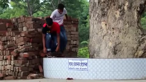Fun & Fake Spider