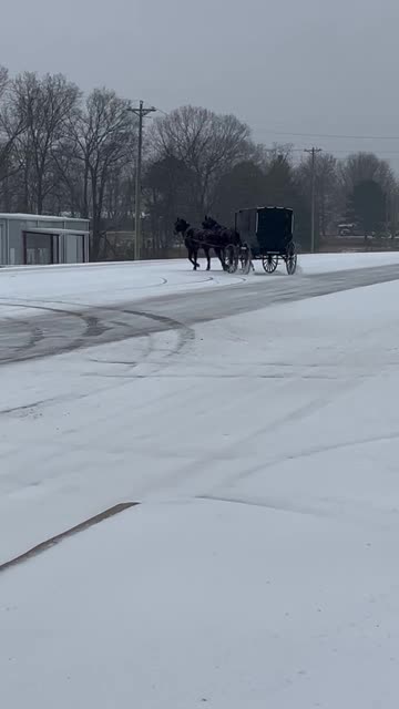 Doing Donuts With a Horse and Buggy
