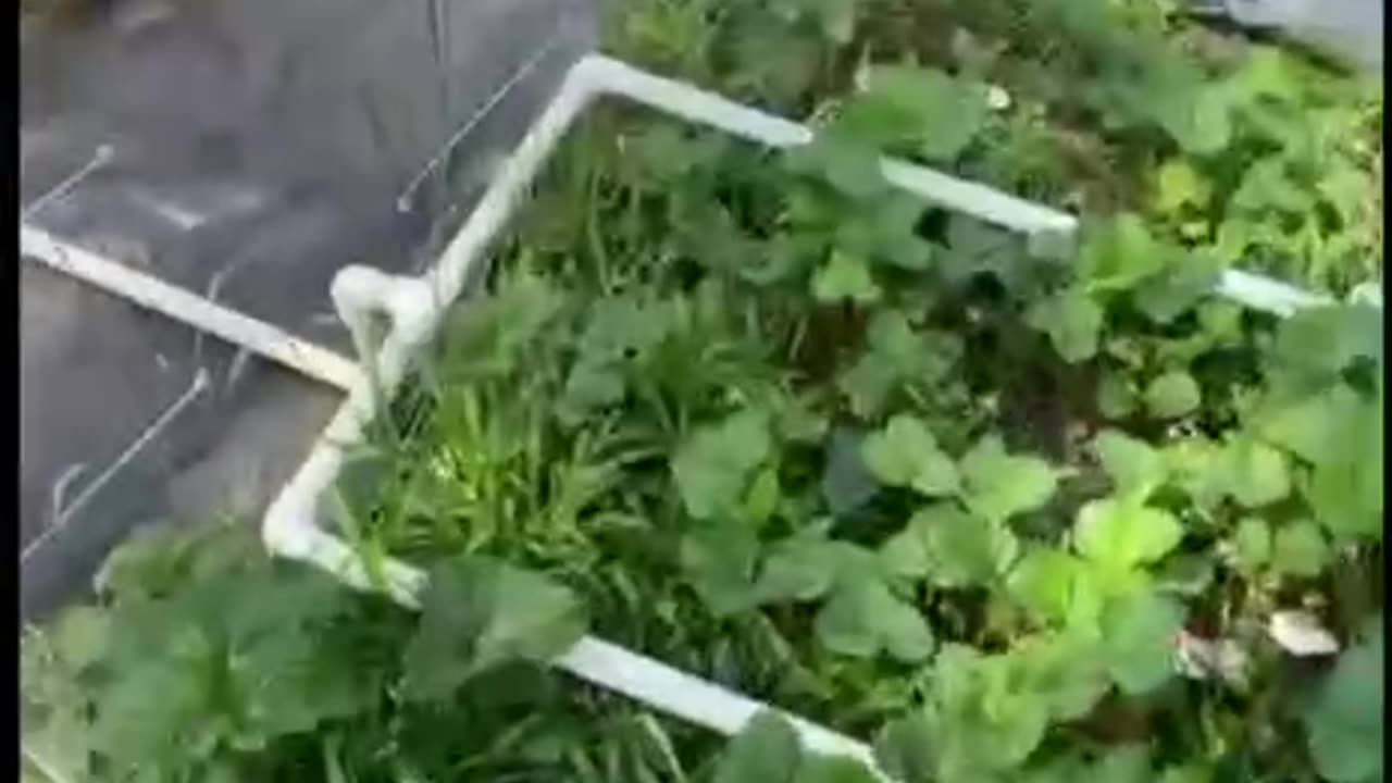 HOW TO AUTOMATE YOUR OUTDOOR/INDOOR GARDEN!