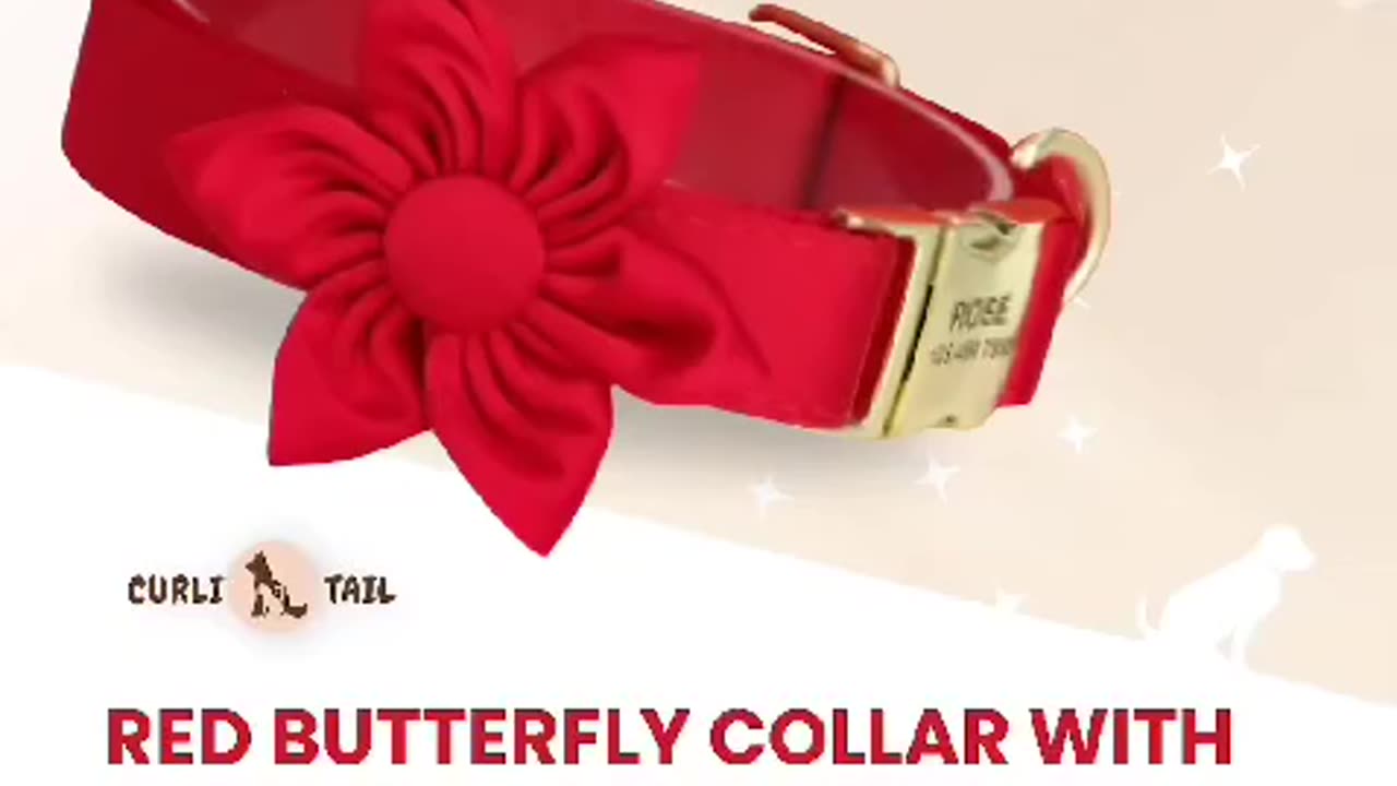 Curlitail USA: Personalized Dog ID Collars | Personalized id collars