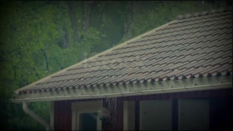 Soothing Rain & Thunder for Instant Sleep
