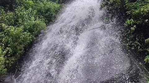 Waterfall ( Uttarakhand India)