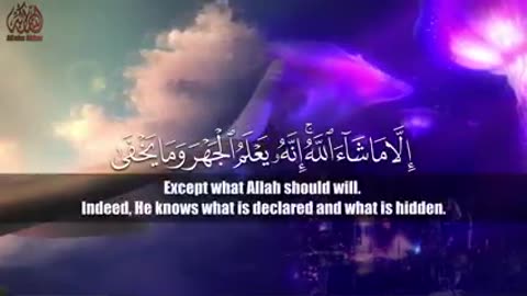 Aslme video