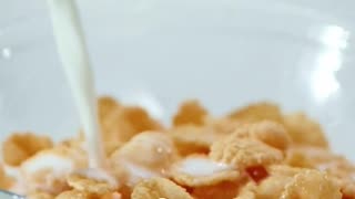 Scientific Accidents — Entry #21: Corn Flakes