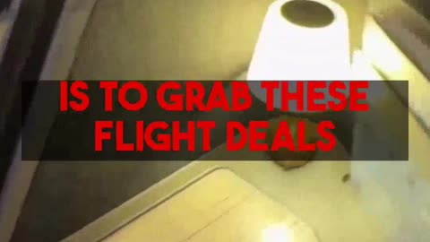 Unlock Business Class & 5-Star Hotels: Mighty Travels PREMIUM DIY Demo