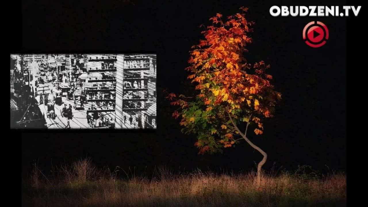 TAJNE AKTA TESLI LEKTOR