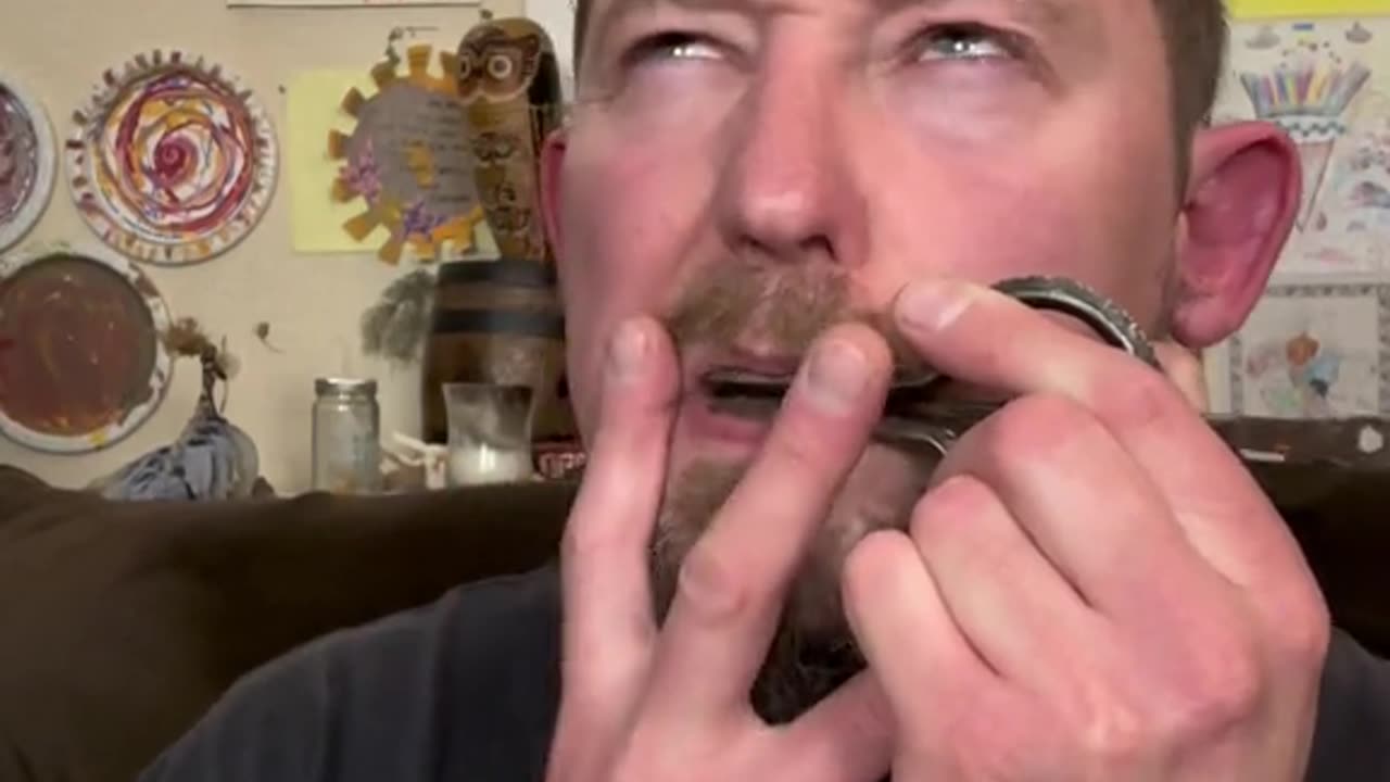 - the chang. an ancient musical instrument from pakistan.