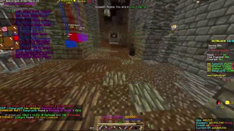 Skyblock FLOOR 7 [#2551]