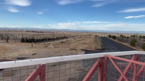 The Wild Animal Sanctuary