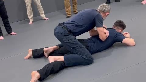 Single Officer Ground Control Basic Leg Position