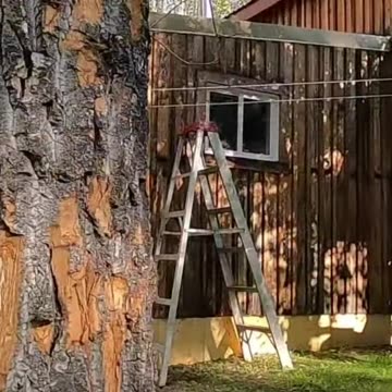 Axe Throwing Fails! Squirrels Beware! Epic Hatchet Moments! #livingoffgrid